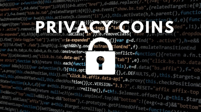 Privacy coins